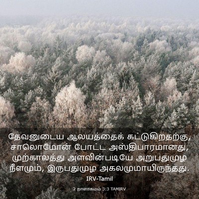 Picture 03 - 2 நாளாகமம் 3:3 TAMIRV - தேவனுடைய - Bible Verse Picture