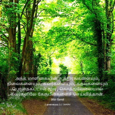 Picture 03 - 2 நாளாகமம் 3:7 TAMIRV - அந்த மாளிகையின் - Bible Verse Picture