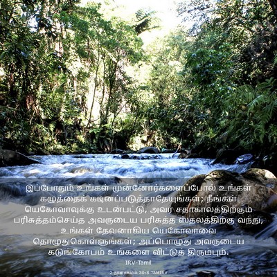 Picture 03 - 2 நாளாகமம் 30:8 TAMIRV - இப்போதும் உங்கள் - Bible Verse Picture