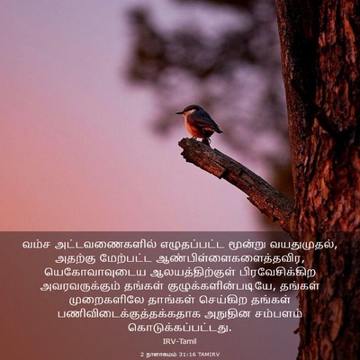 Picture 03 - 2 நாளாகமம் 31:16 TAMIRV - வம்ச அட்டவணைகளில் - Bible Verse Picture