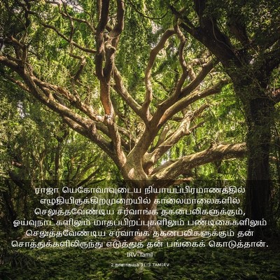 Picture 03 - 2 நாளாகமம் 31:3 TAMIRV - ராஜா யெகோவாவுடைய - Bible Verse Picture