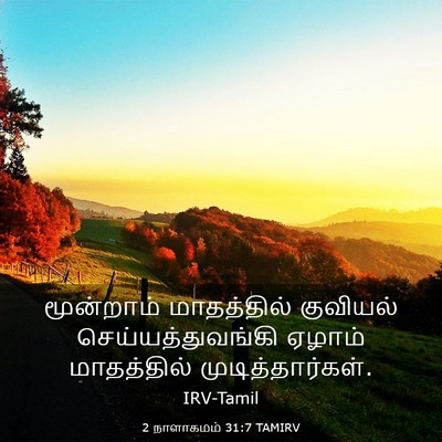 Picture 03 - 2 நாளாகமம் 31:7 TAMIRV - மூன்றாம் - Bible Verse Picture