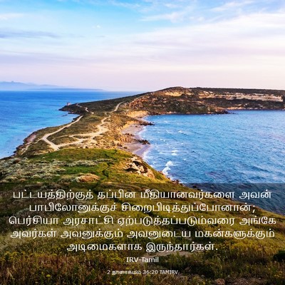 Picture 03 - 2 நாளாகமம் 36:20 TAMIRV - பட்டயத்திற்குத் - Bible Verse Picture