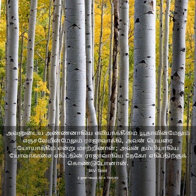 Picture 03 - 2 நாளாகமம் 36:4 TAMIRV - அவனுடைய அண்ணனாகிய - Bible Verse Picture