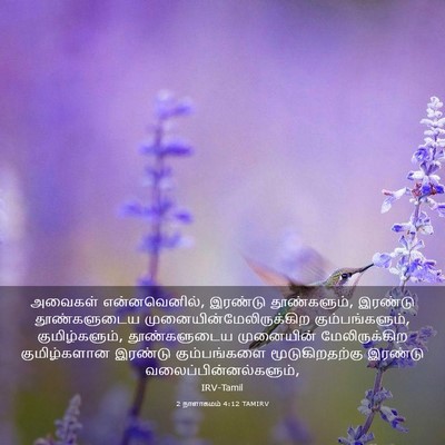 Picture 03 - 2 நாளாகமம் 4:12 TAMIRV - அவைகள் - Bible Verse Picture