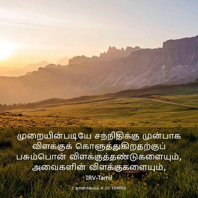 Picture 03 - 2 நாளாகமம் 4:20 TAMIRV - முறையின்படியே - Bible Verse Picture