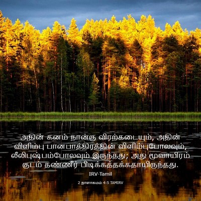 Picture 03 - 2 நாளாகமம் 4:5 TAMIRV - அதின் கனம் நான்கு - Bible Verse Picture