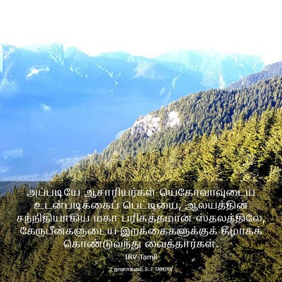 Picture 03 - 2 நாளாகமம் 5:7 TAMIRV - அப்படியே - Bible Verse Picture
