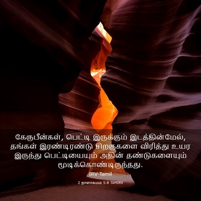Picture 03 - 2 நாளாகமம் 5:8 TAMIRV - கேருபீன்கள், - Bible Verse Picture