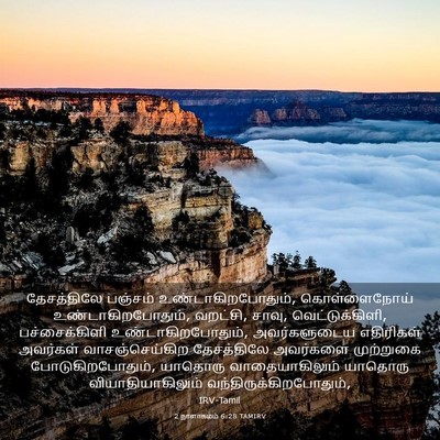 Picture 03 - 2 நாளாகமம் 6:28 TAMIRV - தேசத்திலே பஞ்சம் - Bible Verse Picture
