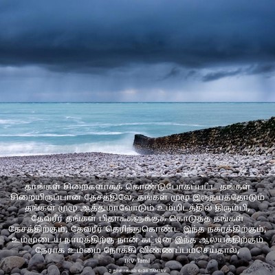 Picture 03 - 2 நாளாகமம் 6:38 TAMIRV - தாங்கள் - Bible Verse Picture