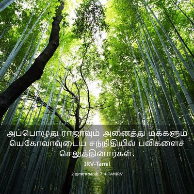 Picture 03 - 2 நாளாகமம் 7:4 TAMIRV - அப்பொழுது - Bible Verse Picture