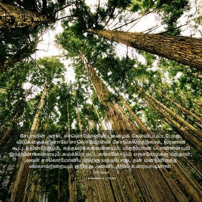 Picture 03 - 2 நாளாகமம் 9:1 TAMIRV - சேபாவின் அரசி, - Bible Verse Picture