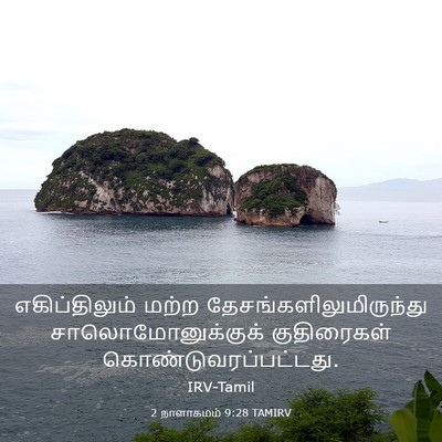 Picture 03 - 2 நாளாகமம் 9:28 TAMIRV - எகிப்திலும் மற்ற - Bible Verse Picture