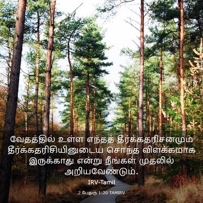 Picture 03 - 2 பேதுரு 1:20 TAMIRV - வேதத்தில் உள்ள - Bible Verse Picture