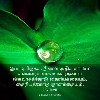 Picture 03 - 2 பேதுரு 1:5 TAMIRV - இப்படியிருக்க, - Bible Verse Picture