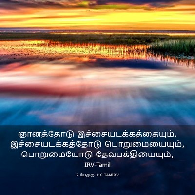 Picture 03 - 2 பேதுரு 1:6 TAMIRV - ஞானத்தோடு - Bible Verse Picture