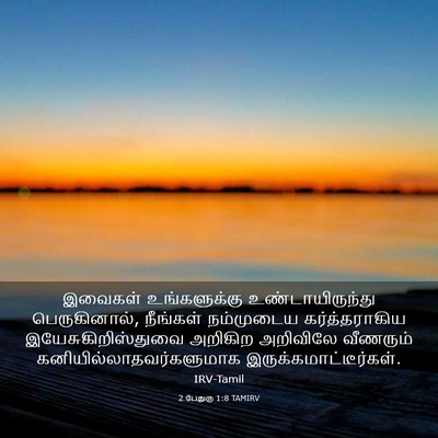 Picture 03 - 2 பேதுரு 1:8 TAMIRV - இவைகள் உங்களுக்கு - Bible Verse Picture