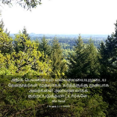 Picture 03 - 2 பேதுரு 2:11 TAMIRV - அதிக பெலனையும் - Bible Verse Picture