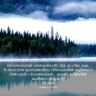 Picture 03 - 2 பேதுரு 2:15 TAMIRV - செம்மையான - Bible Verse Picture