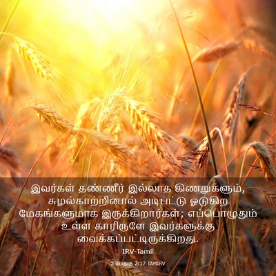 Picture 03 - 2 பேதுரு 2:17 TAMIRV - இவர்கள் தண்ணீர் - Bible Verse Picture