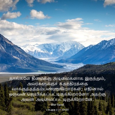 Picture 03 - 2 பேதுரு 2:19 TAMIRV - தாங்களே தீமைக்கு - Bible Verse Picture