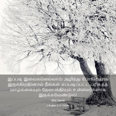 Picture 03 - 2 பேதுரு 3:11 TAMIRV - இப்படி - Bible Verse Picture