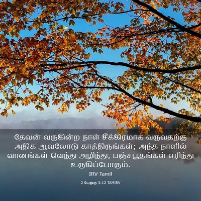 Picture 03 - 2 பேதுரு 3:12 TAMIRV - தேவன் வருகின்ற - Bible Verse Picture