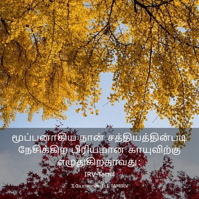 Picture 03 - 3 யோவான் 1:1 TAMIRV - மூப்பனாகிய நான் - Bible Verse Picture