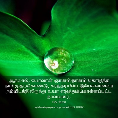 Picture 03 - அப்போஸ்தலருடைய நடபடிகள் 1:21 TAMIRV - ஆதலால், யோவான் - Bible Verse Picture