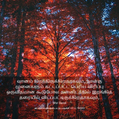 Picture 03 - அப்போஸ்தலருடைய நடபடிகள் 10:11 TAMIRV - வானம் - Bible Verse Picture