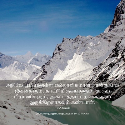 Picture 03 - அப்போஸ்தலருடைய நடபடிகள் 10:12 TAMIRV - அதிலே பூமியிலுள்ள - Bible Verse Picture