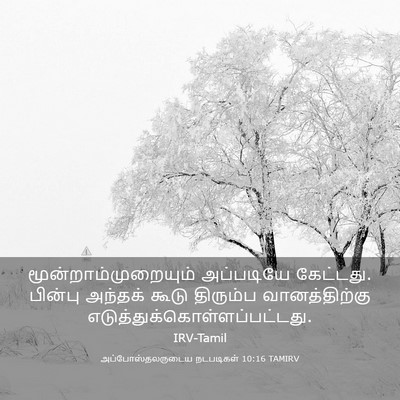 Picture 03 - அப்போஸ்தலருடைய நடபடிகள் 10:16 TAMIRV - மூன்றாம்முறையும் - Bible Verse Picture