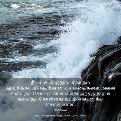 Picture 03 - அப்போஸ்தலருடைய நடபடிகள் 11:14 TAMIRV - நீயும் உன் - Bible Verse Picture