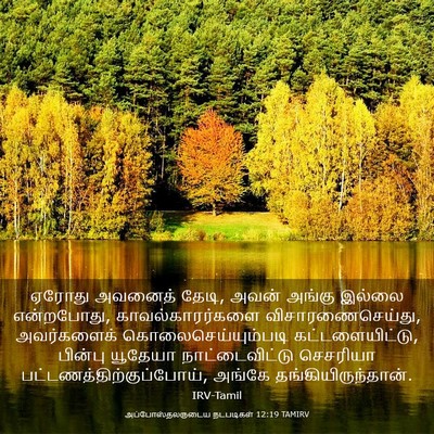 Picture 03 - அப்போஸ்தலருடைய நடபடிகள் 12:19 TAMIRV - ஏரோது அவனைத் தேடி, - Bible Verse Picture