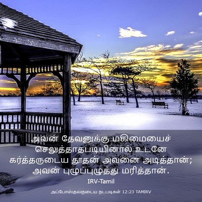 Picture 03 - அப்போஸ்தலருடைய நடபடிகள் 12:23 TAMIRV - அவன் தேவனுக்கு - Bible Verse Picture