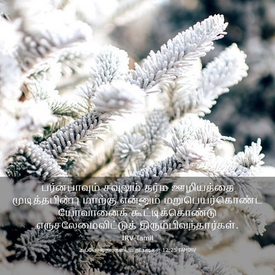 Picture 03 - அப்போஸ்தலருடைய நடபடிகள் 12:25 TAMIRV - பர்னபாவும் - Bible Verse Picture