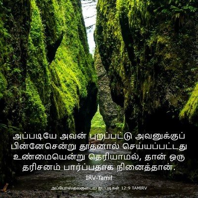 Picture 03 - அப்போஸ்தலருடைய நடபடிகள் 12:9 TAMIRV - அப்படியே அவன் - Bible Verse Picture