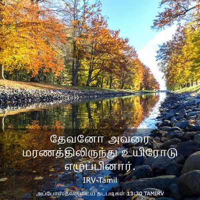Picture 03 - அப்போஸ்தலருடைய நடபடிகள் 13:30 TAMIRV - தேவனோ அவரை - Bible Verse Picture