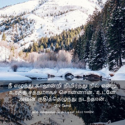 Picture 03 - அப்போஸ்தலருடைய நடபடிகள் 14:10 TAMIRV - நீ எழுந்து - Bible Verse Picture