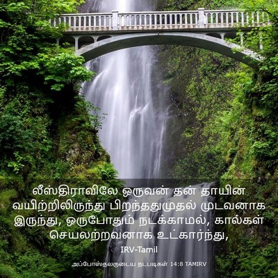 Picture 03 - அப்போஸ்தலருடைய நடபடிகள் 14:8 TAMIRV - லீஸ்திராவிலே - Bible Verse Picture