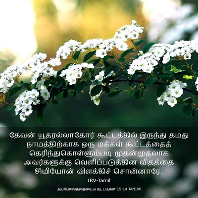 Picture 03 - அப்போஸ்தலருடைய நடபடிகள் 15:14 TAMIRV - தேவன் - Bible Verse Picture