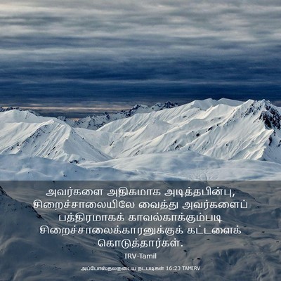 Picture 03 - அப்போஸ்தலருடைய நடபடிகள் 16:23 TAMIRV - அவர்களை அதிகமாக - Bible Verse Picture