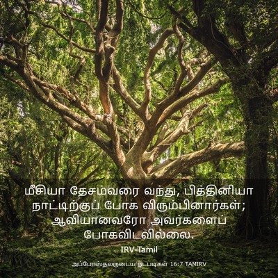 Picture 03 - அப்போஸ்தலருடைய நடபடிகள் 16:7 TAMIRV - மீசியா தேசம்வரை - Bible Verse Picture