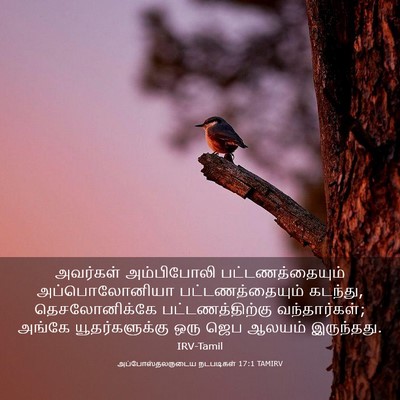 Picture 03 - அப்போஸ்தலருடைய நடபடிகள் 17:1 TAMIRV - அவர்கள் அம்பிபோலி - Bible Verse Picture