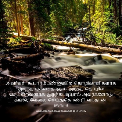 Picture 03 - அப்போஸ்தலருடைய நடபடிகள் 18:3 TAMIRV - அவர்கள் - Bible Verse Picture
