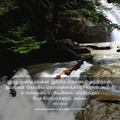 Picture 03 - அப்போஸ்தலருடைய நடபடிகள் 19:37 TAMIRV - இந்த மனிதர்களை - Bible Verse Picture