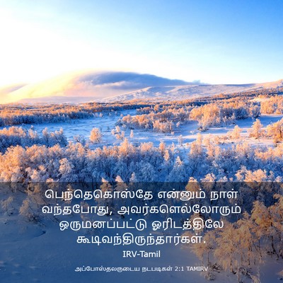 Picture 03 - அப்போஸ்தலருடைய நடபடிகள் 2:1 TAMIRV - பெந்தெகொஸ்தே - Bible Verse Picture