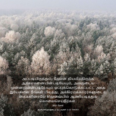 Picture 03 - அப்போஸ்தலருடைய நடபடிகள் 2:23 TAMIRV - அப்படியிருந்தும், - Bible Verse Picture