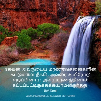 Picture 03 - அப்போஸ்தலருடைய நடபடிகள் 2:24 TAMIRV - தேவன் அவருடைய - Bible Verse Picture